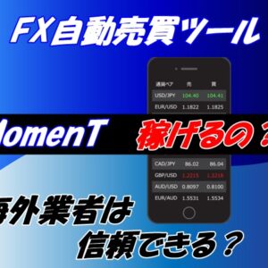 MomenT FX自動売買ツールは海外業者だけど稼げるの？